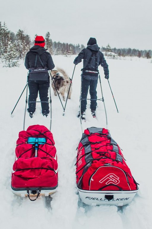 ludzie na nartach ciągnący bagaż, pies husky