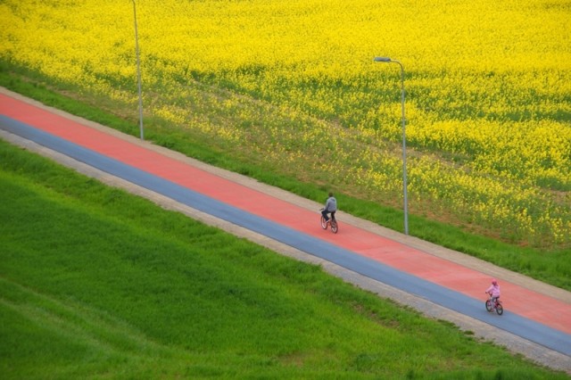 Zdjęcie ścieżki po której jadą rowerzyści