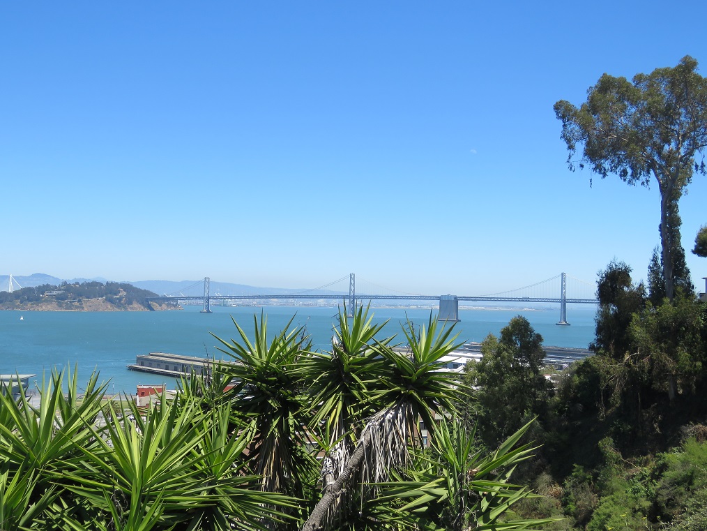 Golden gate bridge wśród palm