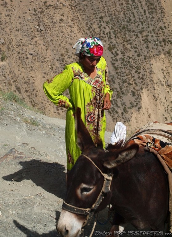 Tradycyjnie ubrana kobieta z osłem