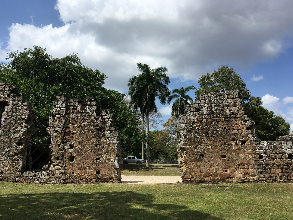 Ruiny muru na tle palm