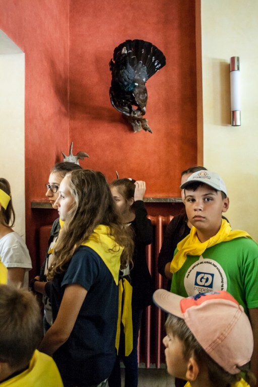 Dzieci z żółtymi chustami stoją obok siebie w pomieszczeniu, na ścianie zawieszony wypchany ptak