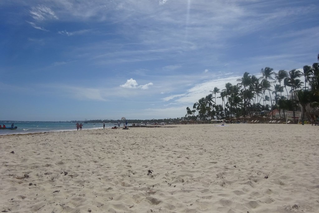 Szeroka plaża z palmami