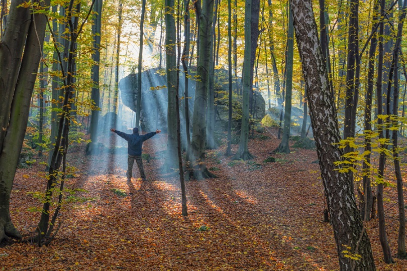 Smugi światła w lesie, obok człowiek z rozłożonym rękami