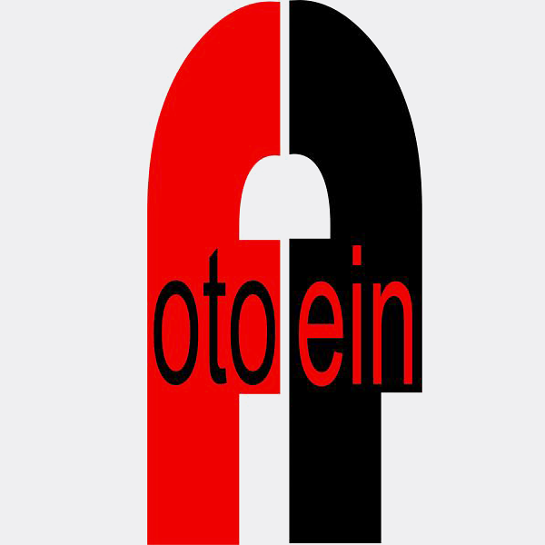 logo FotoPein