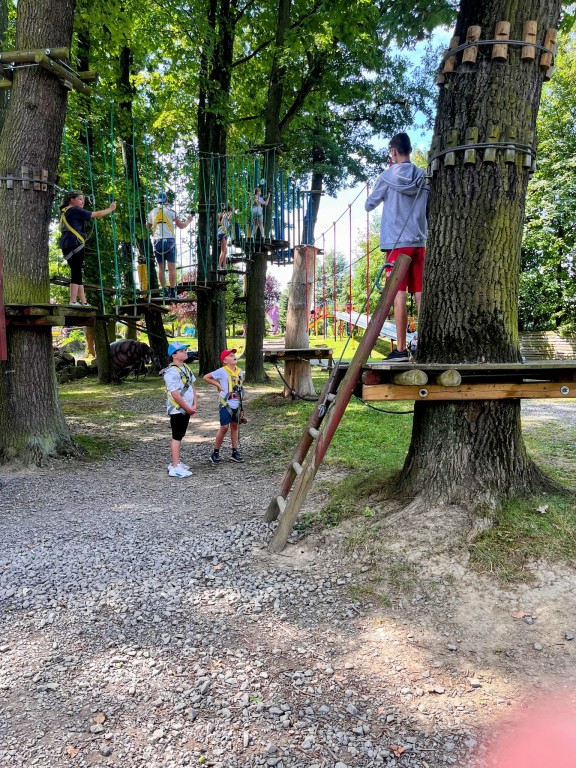 Dzieci w parku linowym słuchają instruktora i wchodzą na trasę.