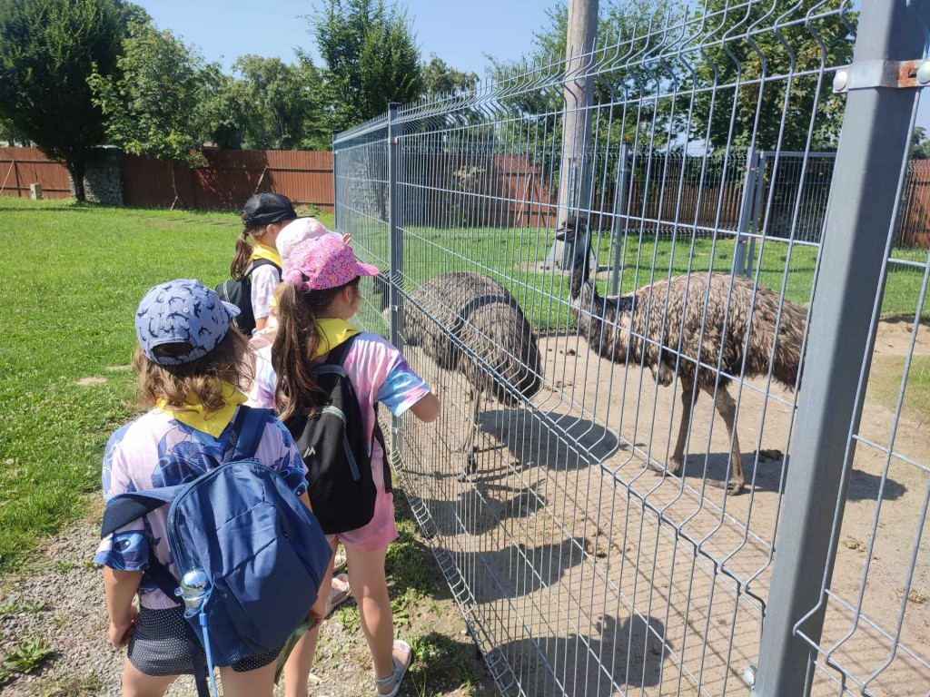 Dzieci oglądają emu.