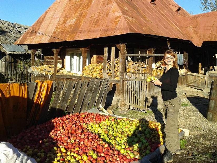 Kobieta stoi przy ogromnej ilości jabłek położonych na ziemi. W tle dom gospodarczy.