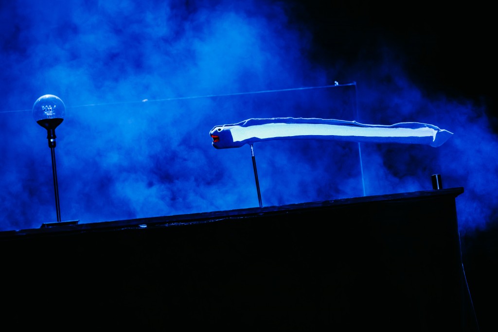 sytuacja sceniczna, dym i węgorz (lalka)