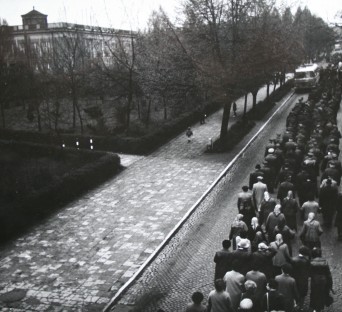 Grupa ludzi idąca drogą